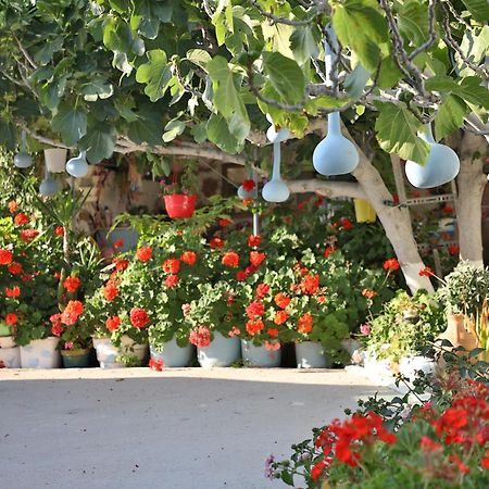Helios Studios & Apartments Makrýgialos Dış mekan fotoğraf