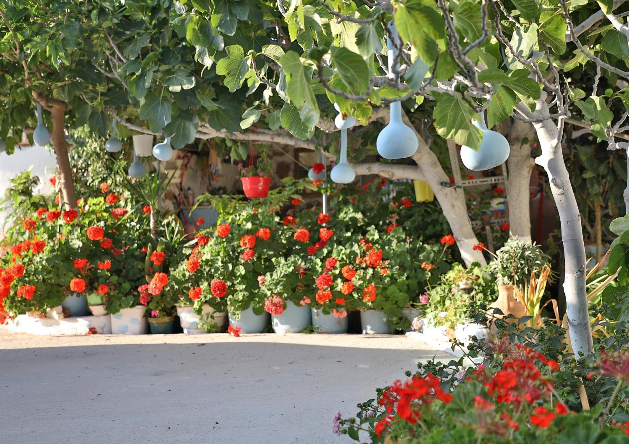 Helios Studios & Apartments Makrýgialos Dış mekan fotoğraf