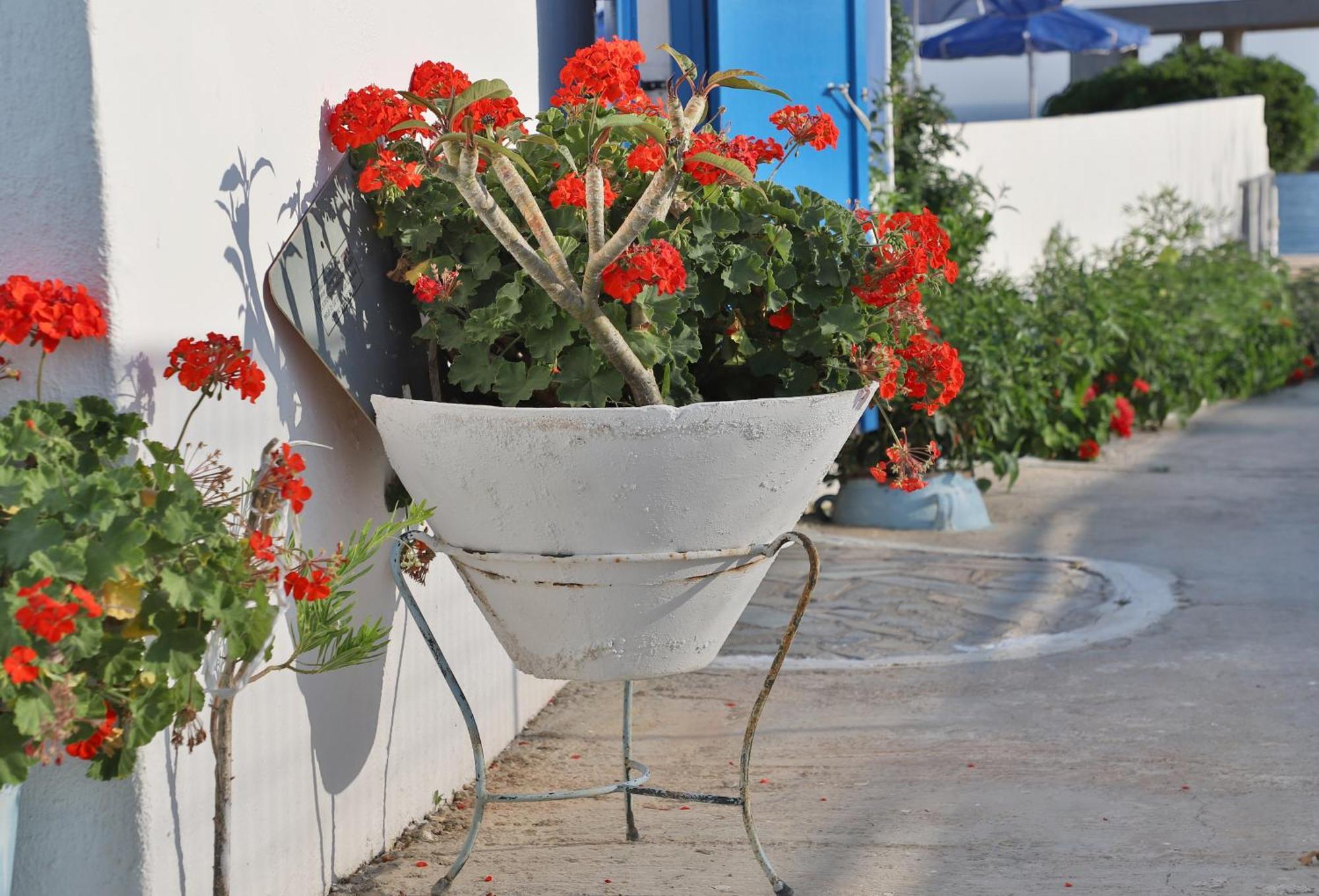 Helios Studios & Apartments Makrýgialos Dış mekan fotoğraf